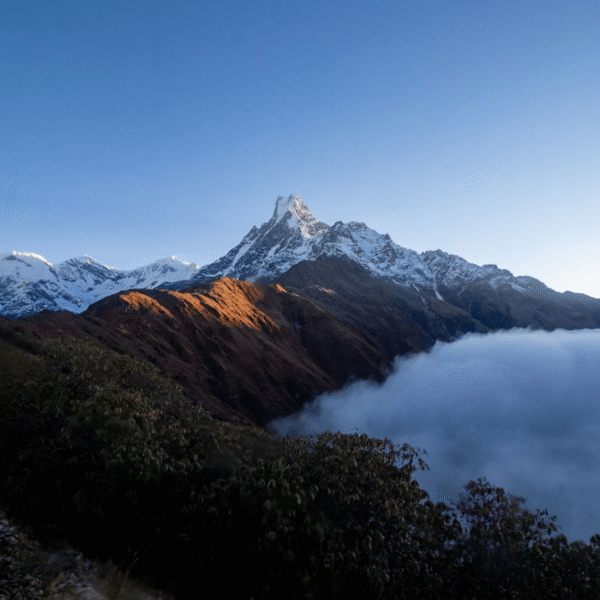Mardi Himal Trek and Kumai Danda Trek: Discover Nepal’s Hidden Himalayan Adventures